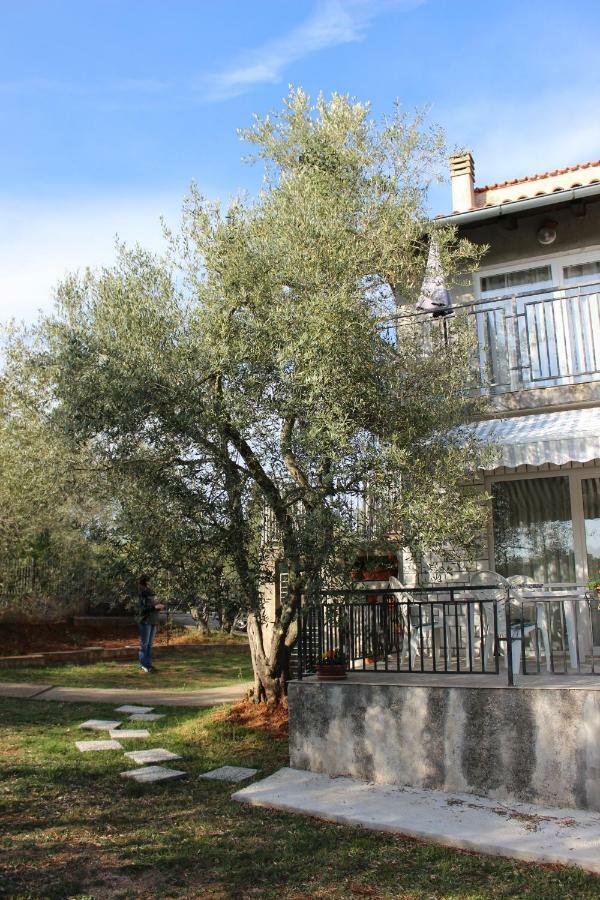 Turkovic Apartments Zgaljic Exterior photo